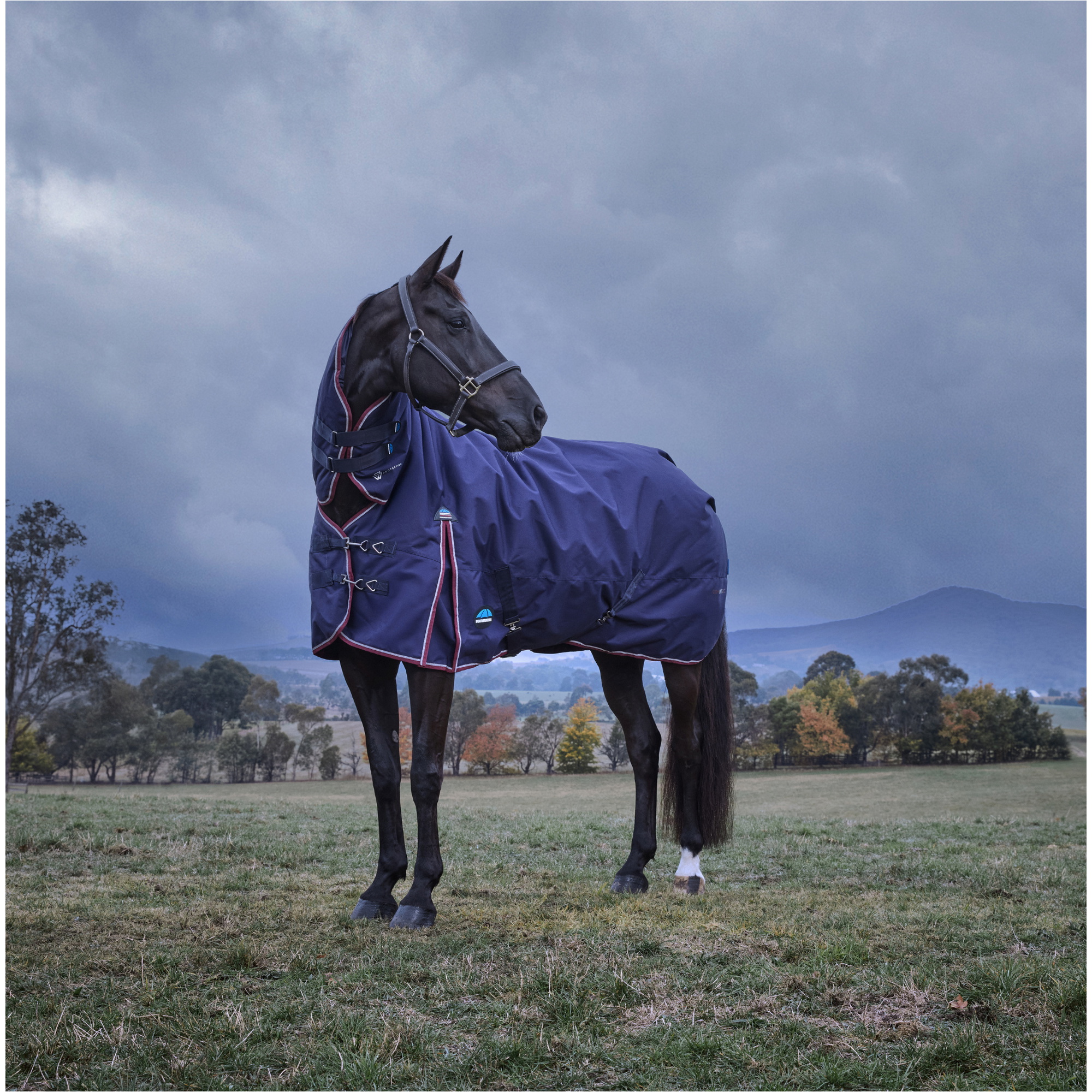 2025 WeatherBeeta Comfitec Essential Turnout Combo 1029017 - Navy